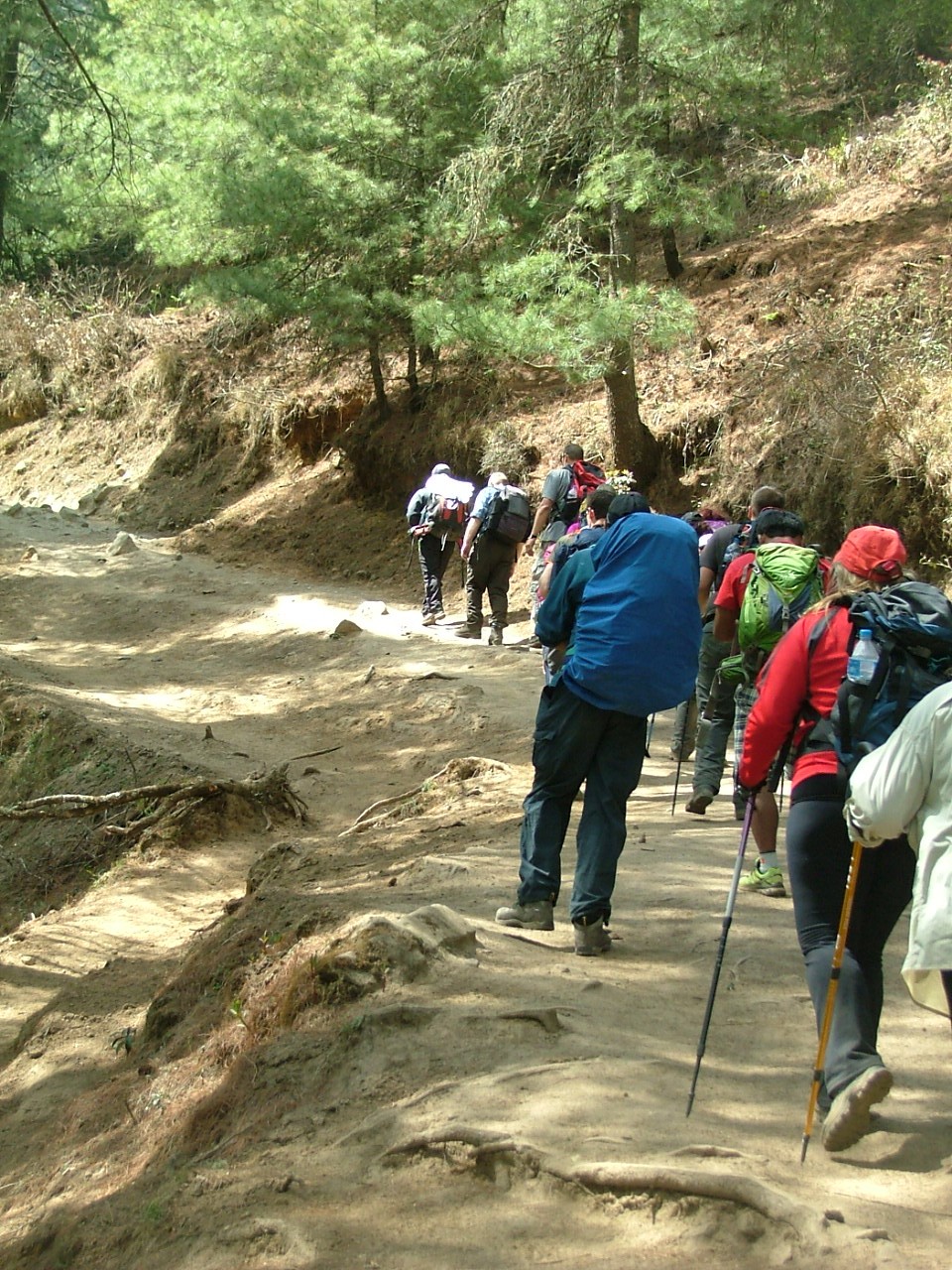 Trekking In Nepal All You Need To Know